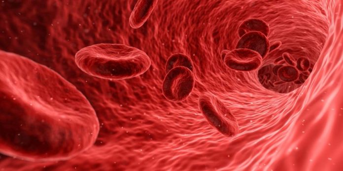 sangue-974e9f2204e91fb6b20fbc34d5de4378-1200x600